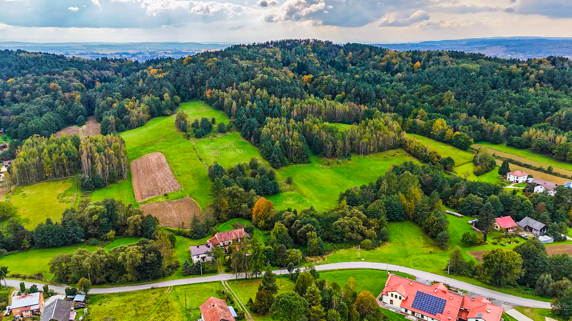 batch_2 Pietrusza Wola