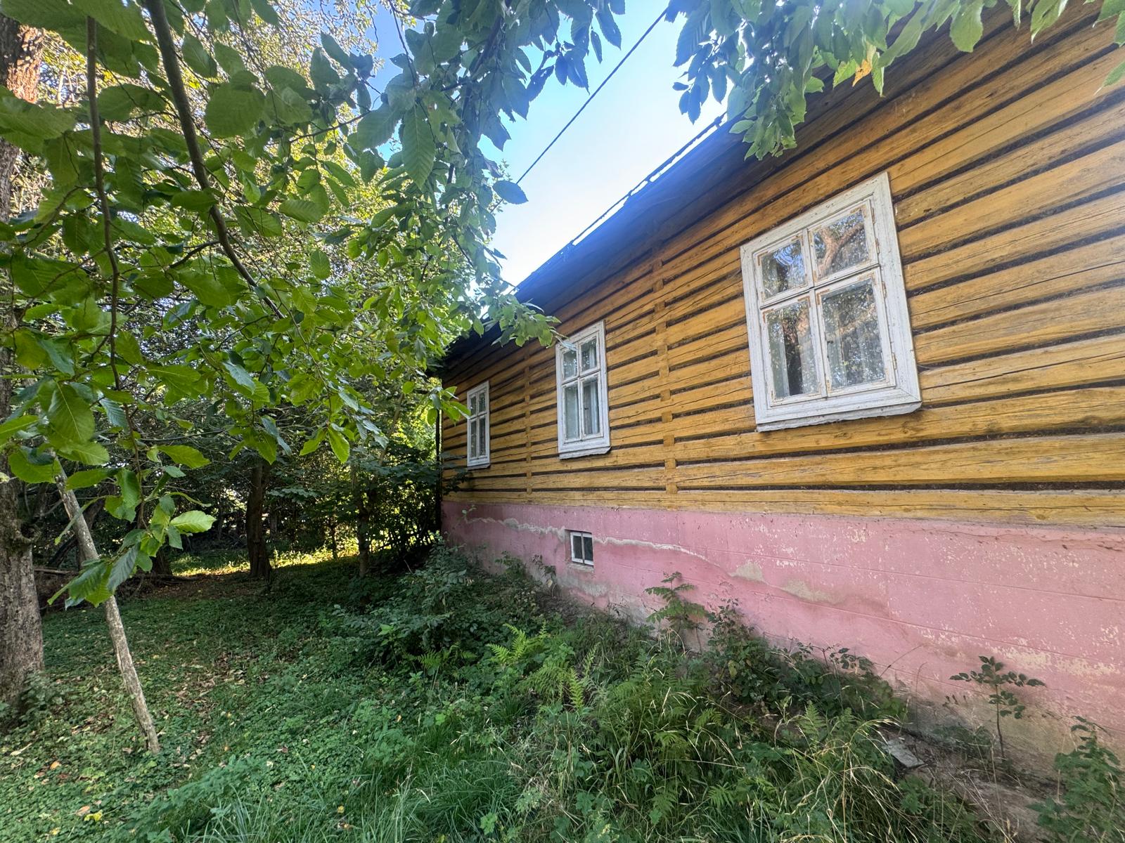 Featured image 3