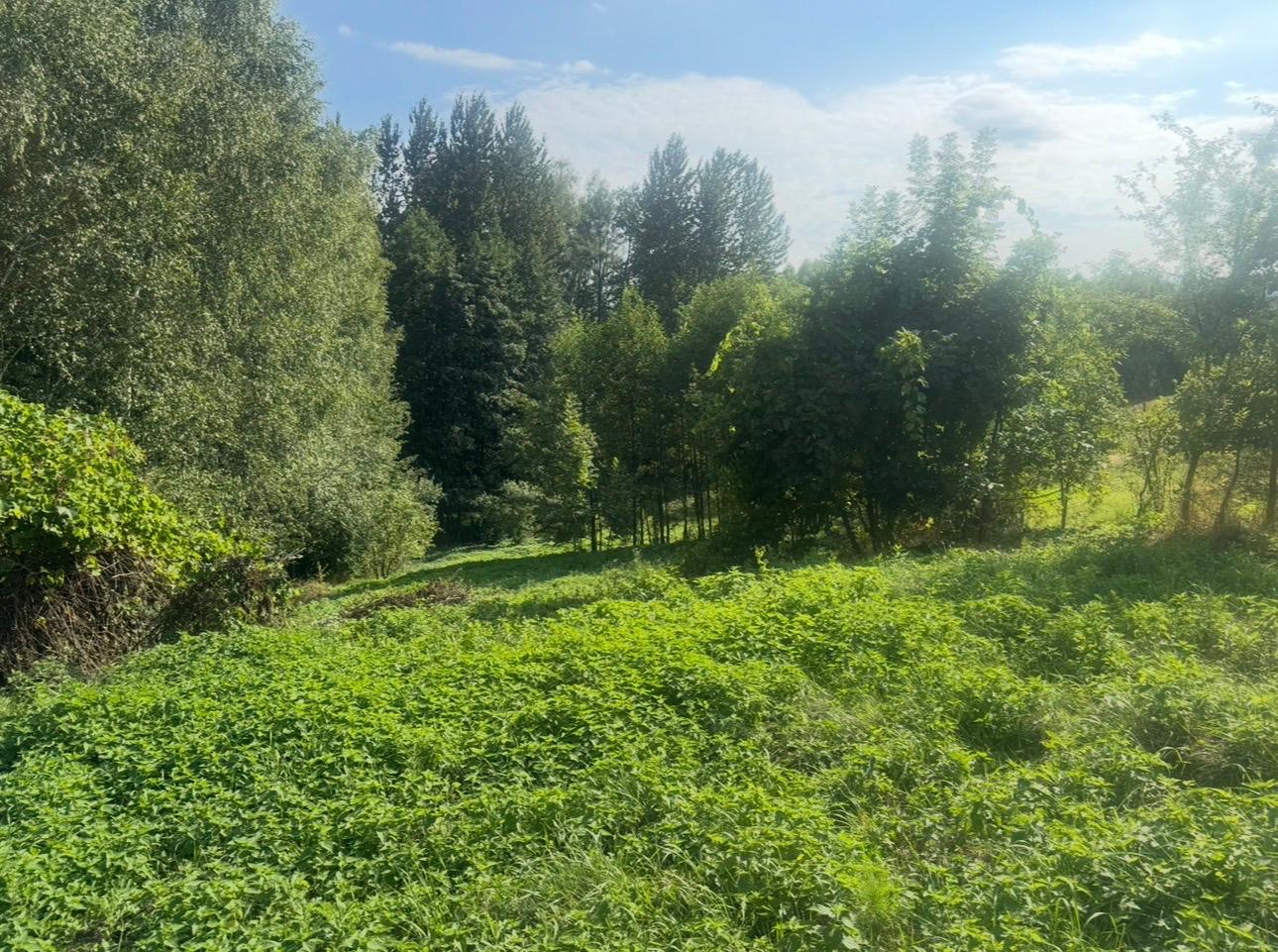 IMG-20260827-WA0043