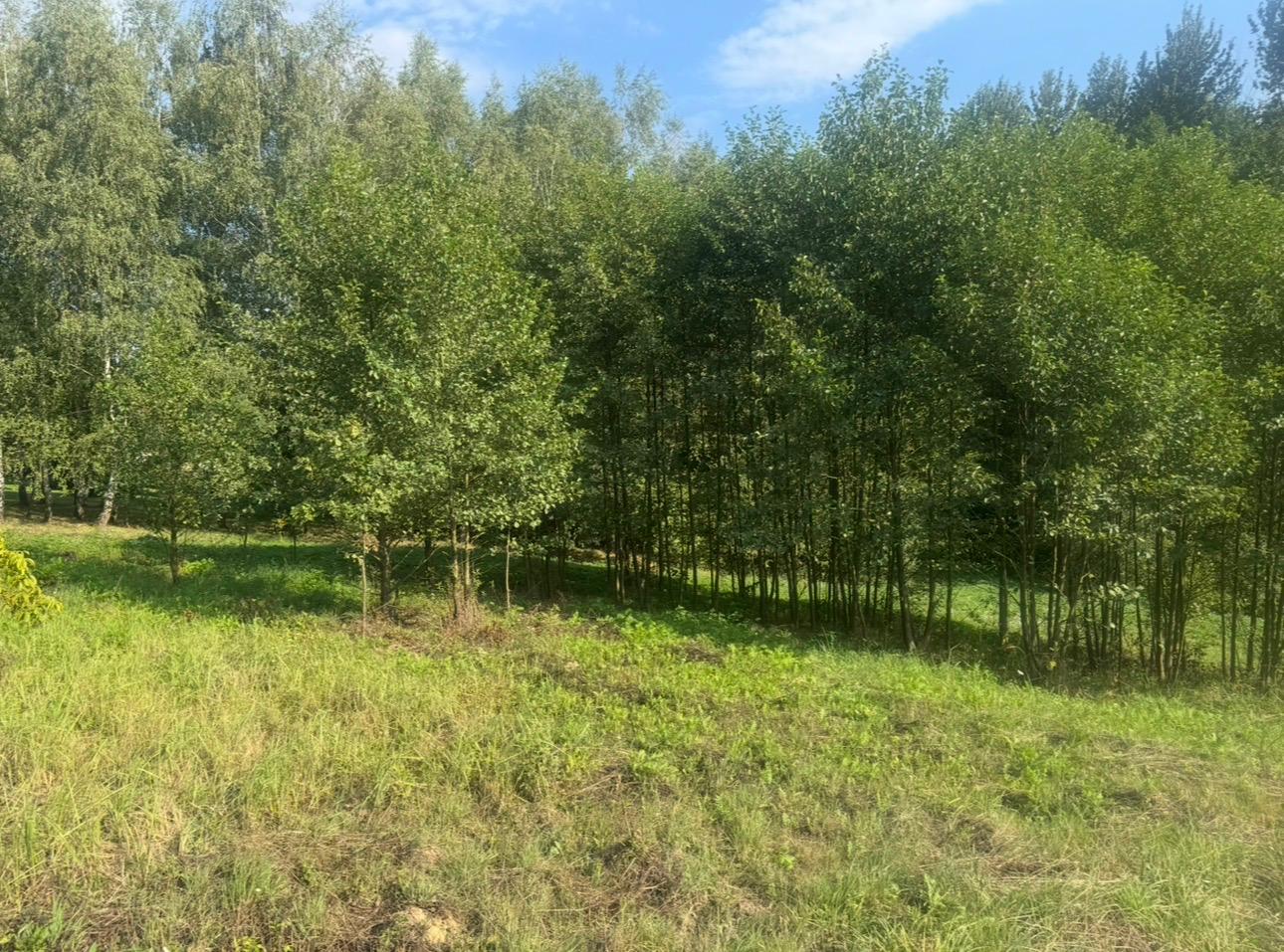 IMG-20260827-WA0054